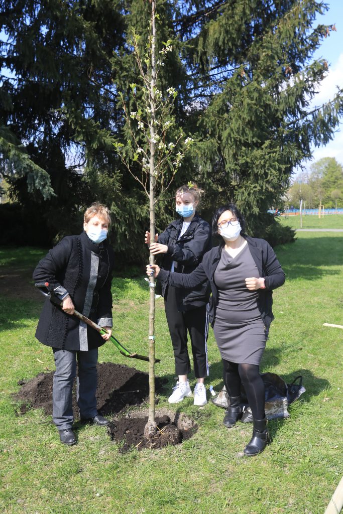 Pani dyrektor Teresa Wesołowska, pani Sylwia Skowrońska i uczennice sadzą drzewka w Parku Szymanowskim
