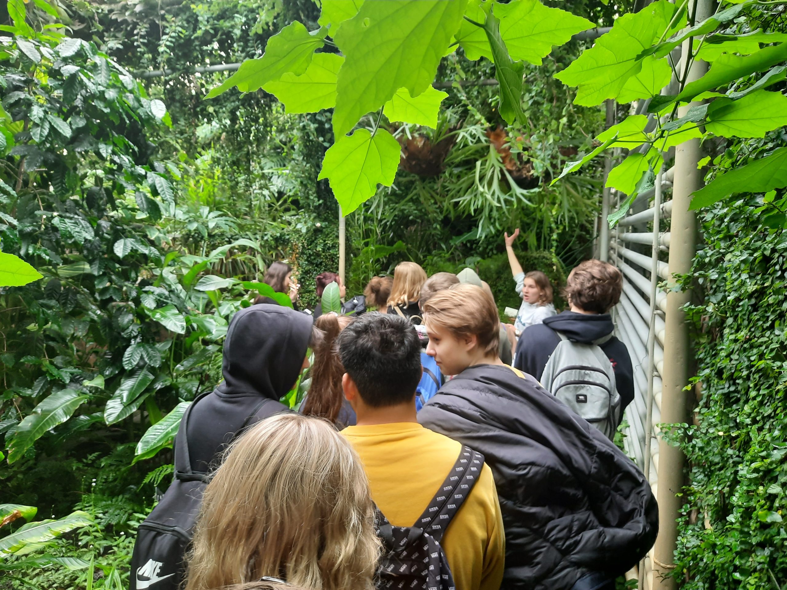 Warsztaty w Ogrodzie Botanicznym UW "W cieniu tropików" klasa 3I i 3F