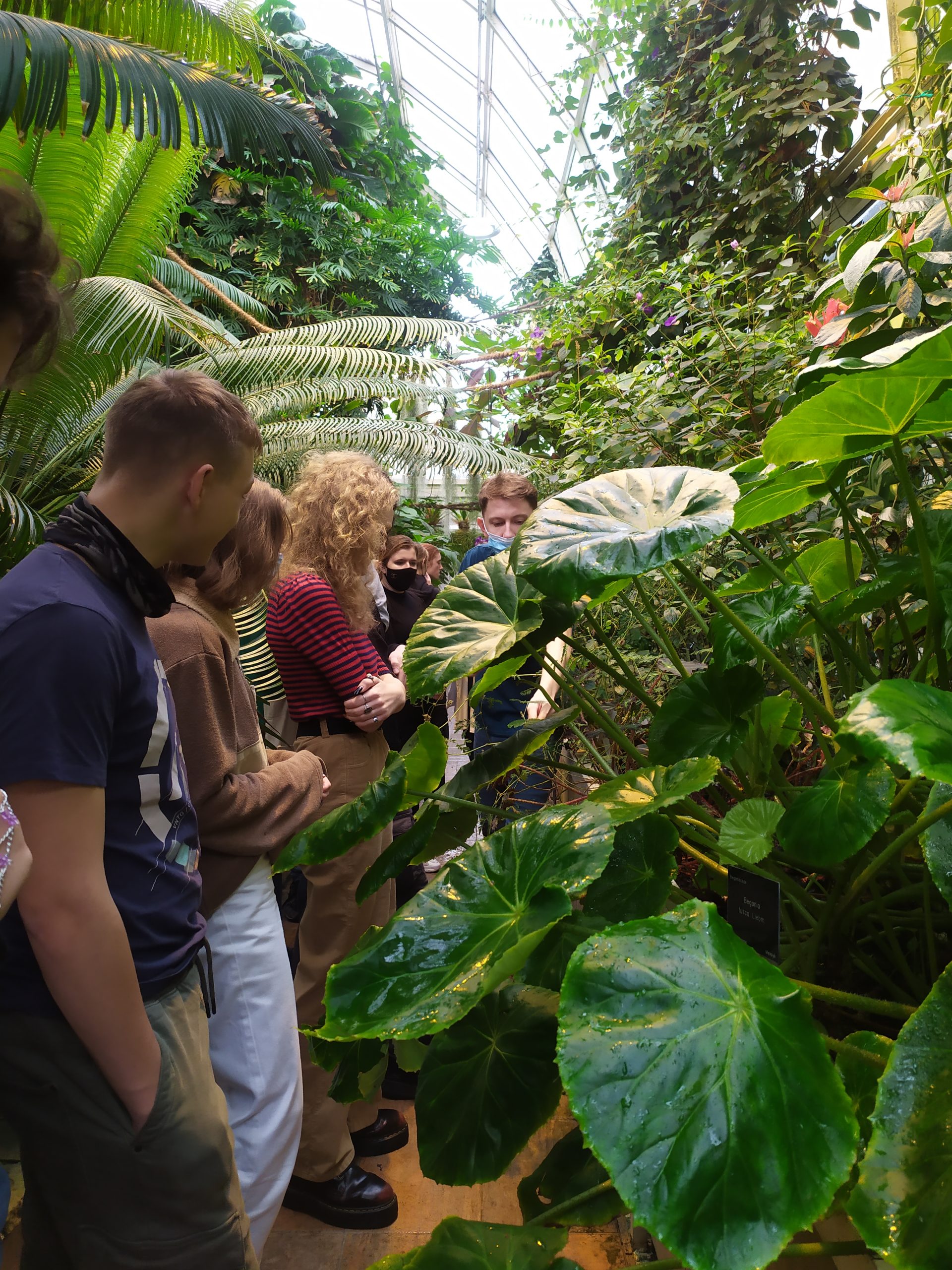 Warsztaty w Ogrodzie Botanicznym UW "W cieniu tropików" klasy 3I i 3F