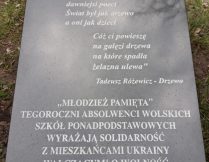 Tablica upamiętniająca sadzenie drzewek przez absolwentów w Parku Ks. Janusza