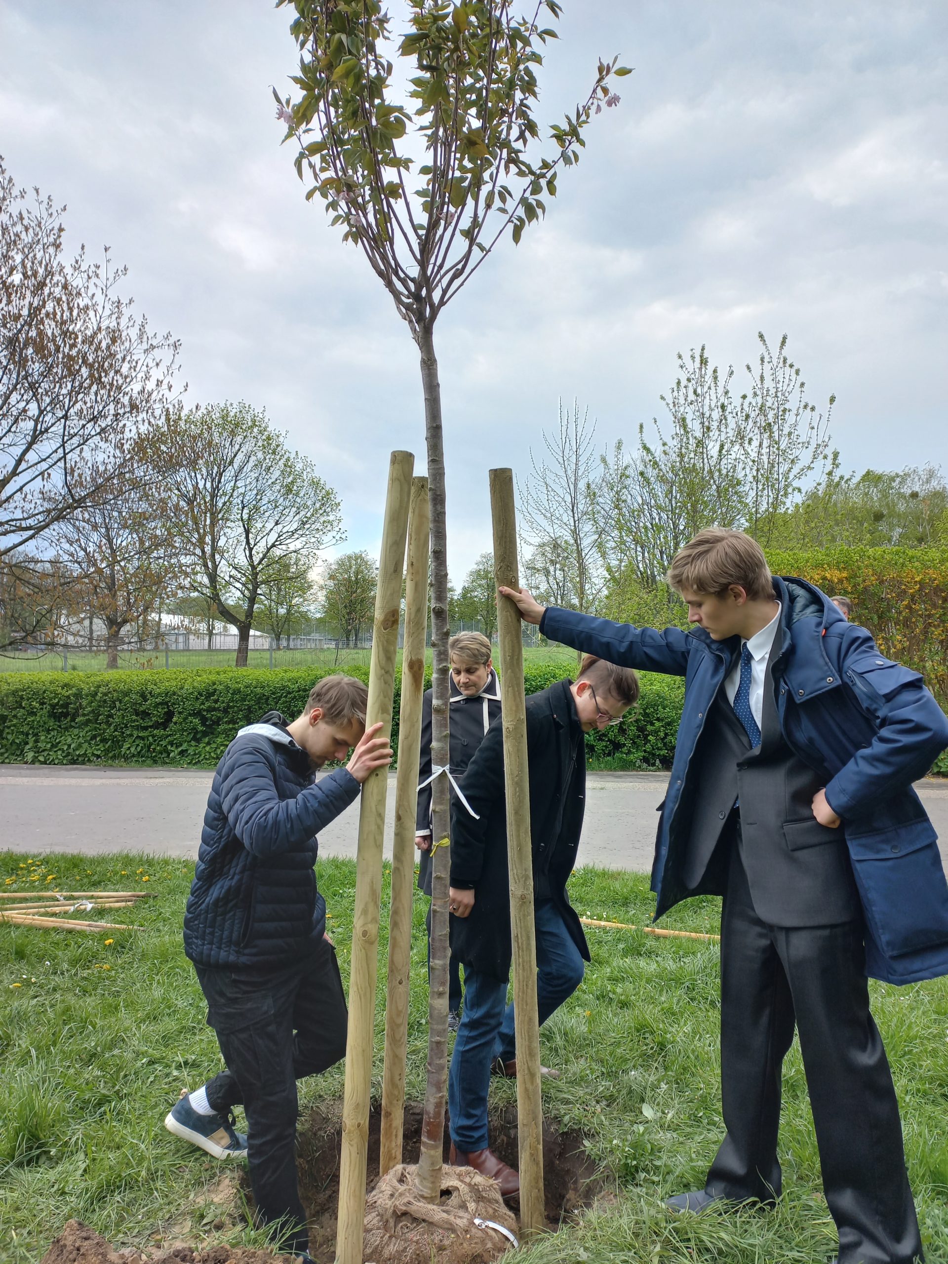 Absolwenci naszego liceum sadzą drzewko w Parku Szymańskiego