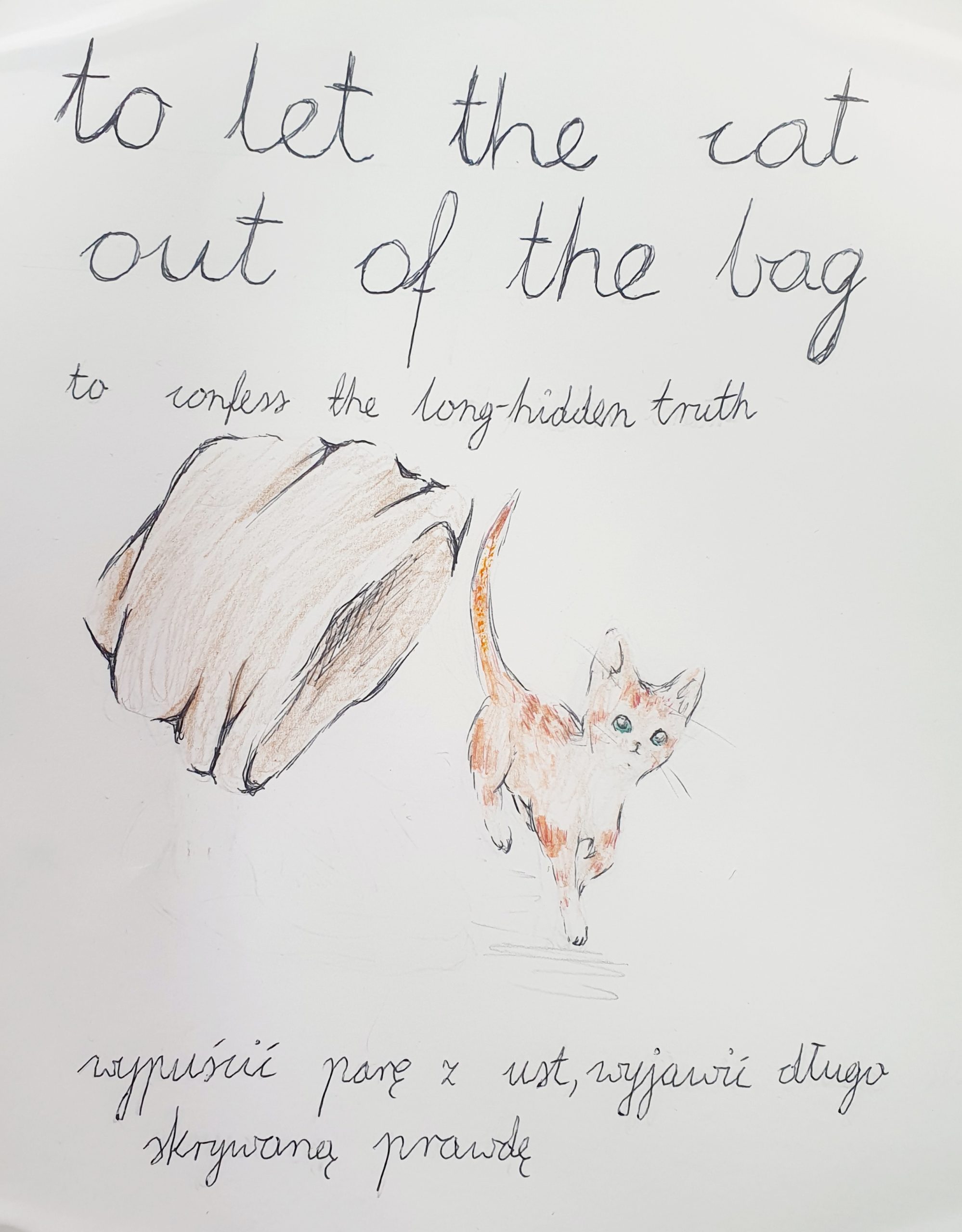 Plakat przedstawia wyjaśnienie angielskiego idiomu To let the cat out of the bag